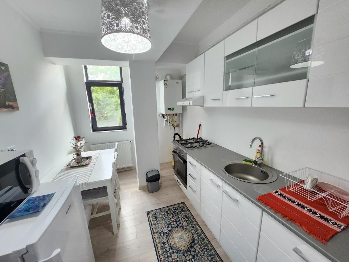 New House In Ultra Center Near Iulius & Palas Mall Iasi Exterior foto